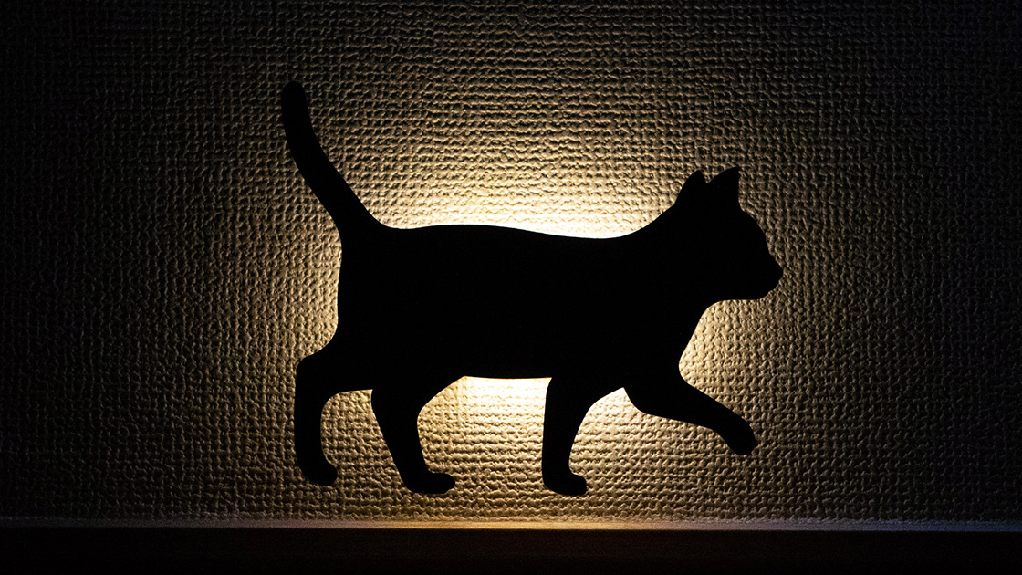 暗闇を照らす猫灯り キャットウォールライト のネコシルエットがかわいい Necogairu