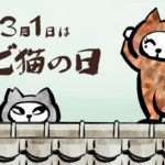 Vol.19：3月1日はサビ猫の日 / Aimi Shinohara